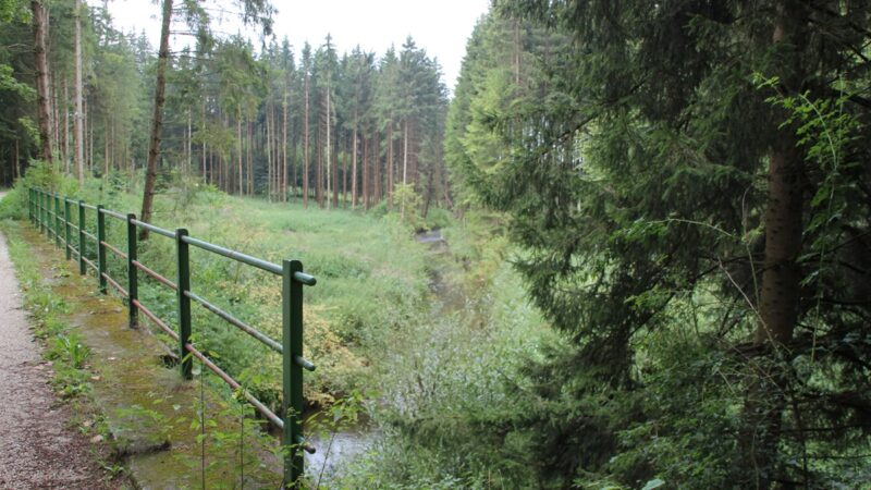Rad- und Wanderweg entlang der Kanzach