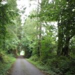 Kanzachweg Waldhöhle