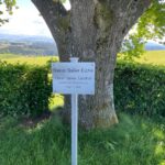 Sailer-Eiche Siggner Höhe im Allgäu