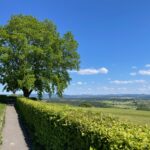 Weg zum Stellplatz Siggner Höhe im Allgäu
