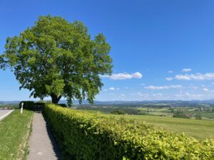 Weg zum Stellplatz Siggner Höhe im Allgäu