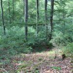 Abhang 'Alte Burg' Langenenslingen Weg