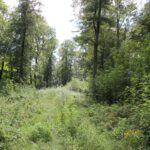 Bergplateau 'Alte Burg' Langenenslingen