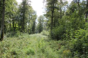 Bergplateau 'Alte Burg' Langenenslingen