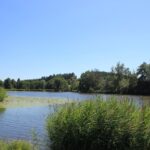Brunnenhauser Weiher Ebersberg Allgäu
