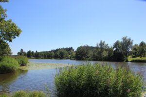 Brunnenhauser Weiher Ebersberg Allgäu