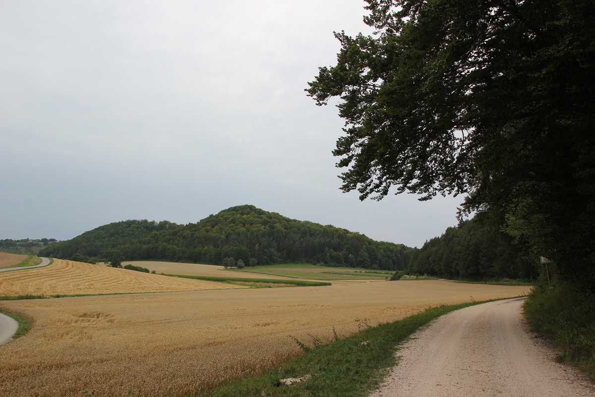 Burgberg 'Alte Burg' Langenenslingen
