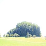 Ebersberg Allgäu (2)