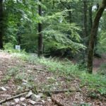 Eingang 'Alte Burg' Langenenslingen