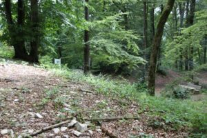 Eingang 'Alte Burg' Langenenslingen