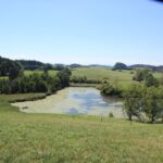 Mahlweiher Ebersberg Allgäu