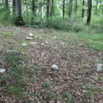 Vereinzelte Kalksteine 'Alte Burg' Langenenslingen