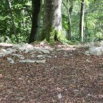 Viele Kalksteine 'Alte Burg' Langenenslingen