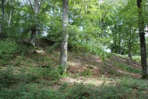 Wallanlage 'Alte Burg' Langenenslingen