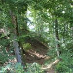Wallgraben 'Alte Burg' Langenenslingen