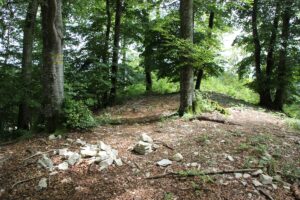 Wallkamm 'Alte Burg' Langenenslingen