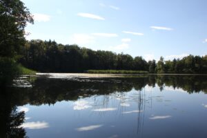 Egelsee Baindt Insel