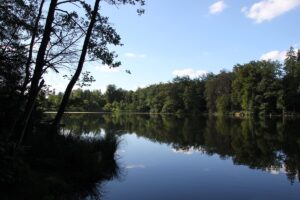 Egelsee Baindt Stilles Wasser