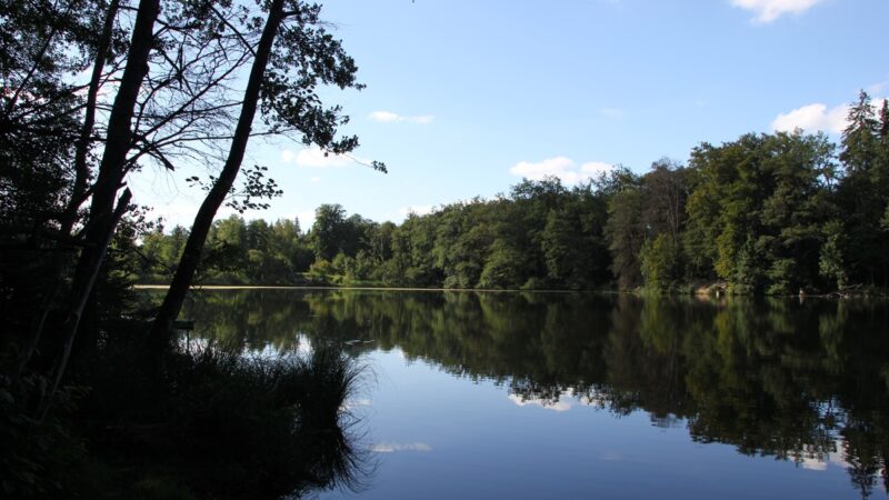 Egelsee & Stockweiher Baindt | Baden, Angeln, Waldbaden