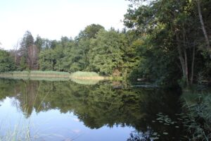 Egelsee Baindt Ufer und Steg