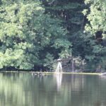 Egelsee Baindt Wasserrohr