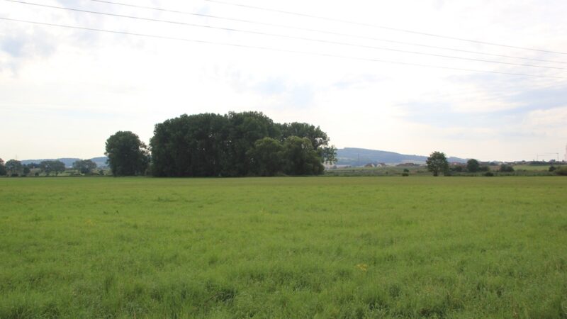 Keltisches Wagengrab bei Unlingen | Grabhügel an der Donau