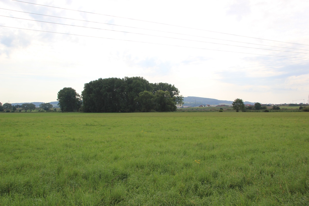 Hinter dem Bahndamm Grabhügel Funde