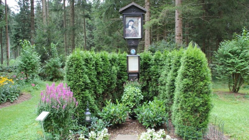 Blumen und Legende im Riedwald | Gedenkort der Guten Beth