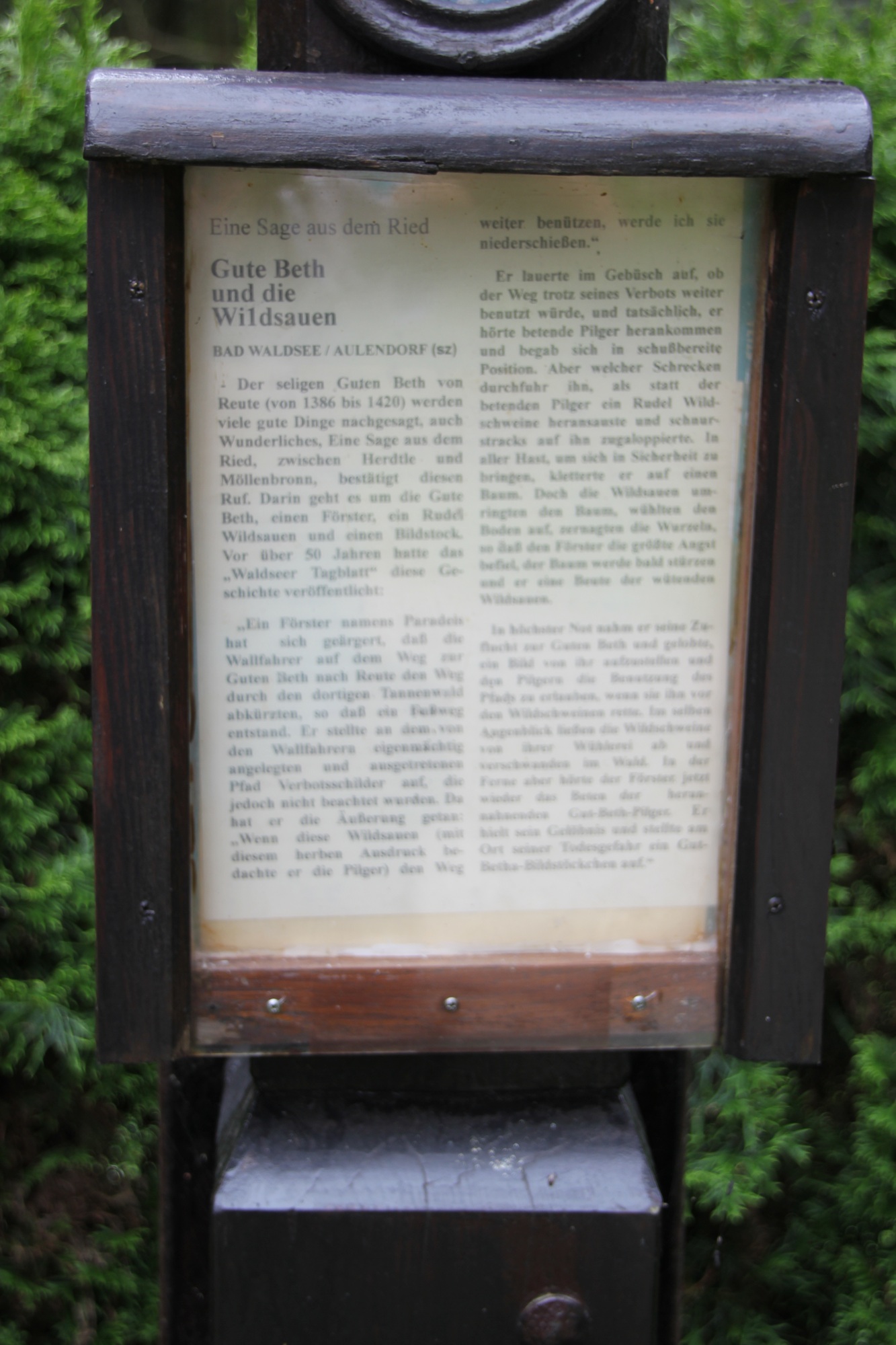 Legende des Försters und den Wildsauen