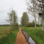 Ende Moosburger Steg Bad Buchau