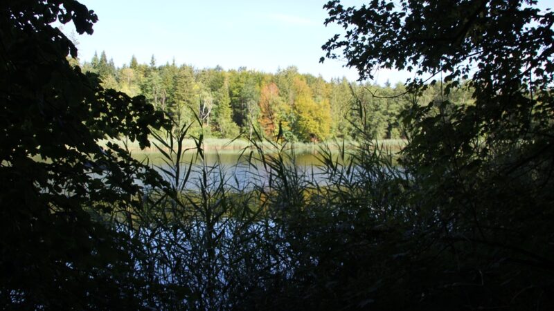 Schanzwiesweiher & Bunkhofer Weiher