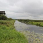 Schautafel und Federseekanal Moosburger Steg