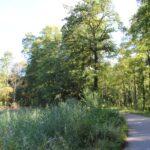 Wiesen zwischen Seen im Altdorfer Wald