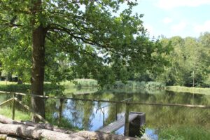 Badesee Baindt Freizeitanlage Grüner Berg