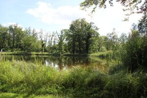 Freibad Baindt Freizeitanlage Grüner Berg