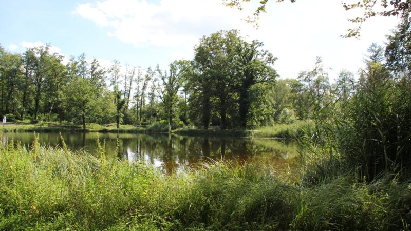 Freizeitanlage Grüner Berg Baindt: Baden, Fußball, Grillen, Biken.