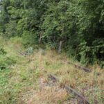 Schienen der Schmalspur Bahn Federsee-Geibet