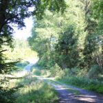 Weg durch Naturschutzgebiet Gründlenried-Rötseemoos